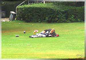 wohnen im Gr&uuml;nen