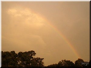 Regenbogen