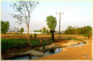 Terraforming - Landschaft neu gestalten