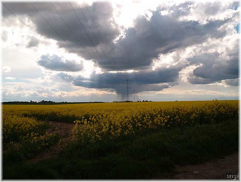 Am Hochspannungsmast entl&auml;dt sich die Regenwolke