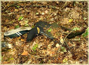 Schuhe, an vielen Orten sehe ich sie, doch das ist eine andere Geschichte ...