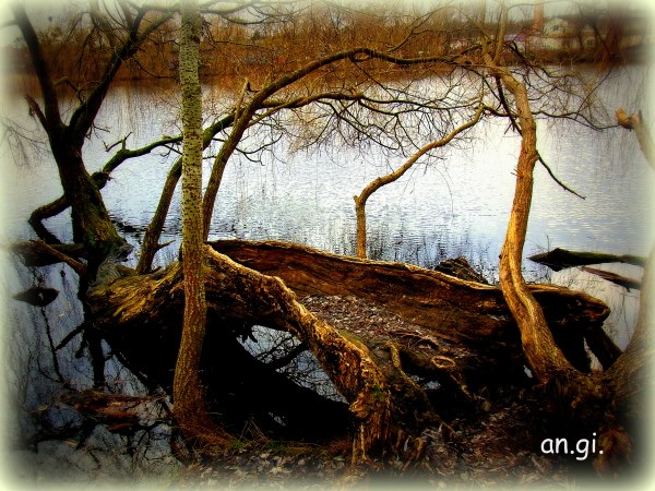 Baumschiff am Aradosee
