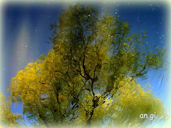 Nur einen Augenblick Stille