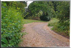 ein Wanderweg_ein Bach