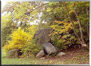 Findlinge im Herbstlaub