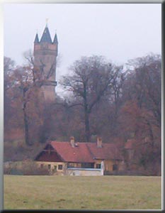 Nebelschleier um den Flatowturm