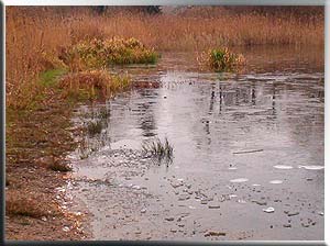 Eisschicht auf dem Teich