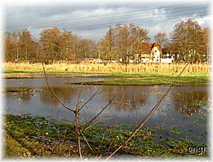 Drewitz - eine Luchlandschaft