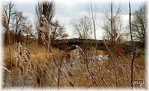 Holzbr&uuml;cke in Rehbr&uuml;cke