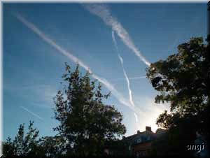 Flug ins Sonnenlicht