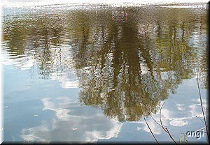 Wie ein Zerrspiegel wirken die Wellen