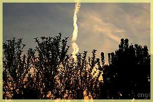 ein Aprilabend in Potsdam