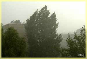 Sturmregen am Schlaatz