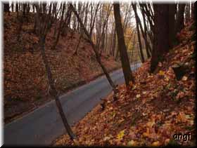 Stra&szlig;enschlucht Richtung M&ouml;nchgut