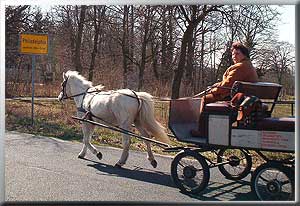 Pferd und Wagen