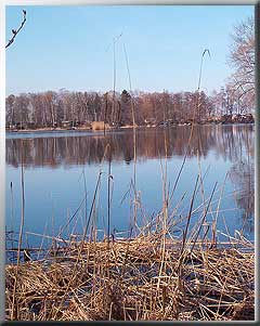 Teichansicht