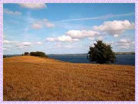 Alreddewitzer Sommer