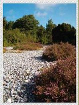 Die Feuersteinfelder von Mukran