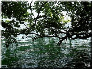 ein Wasser, so gr&uuml;n ...