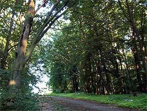 Hinter dem Abrund geht es weiter