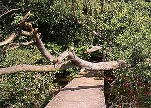 Hindernisse &uuml;berwinden