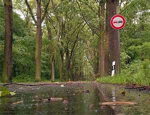 Regennasse Stra&szlig;e