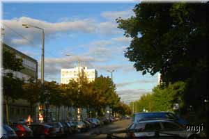 Streifenwolken am Horizont