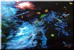 Spiegel des Universums