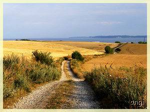 krummer Weg nach Sassnitz