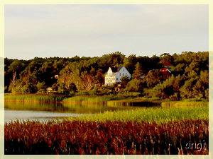 Lietzow im Abendlicht